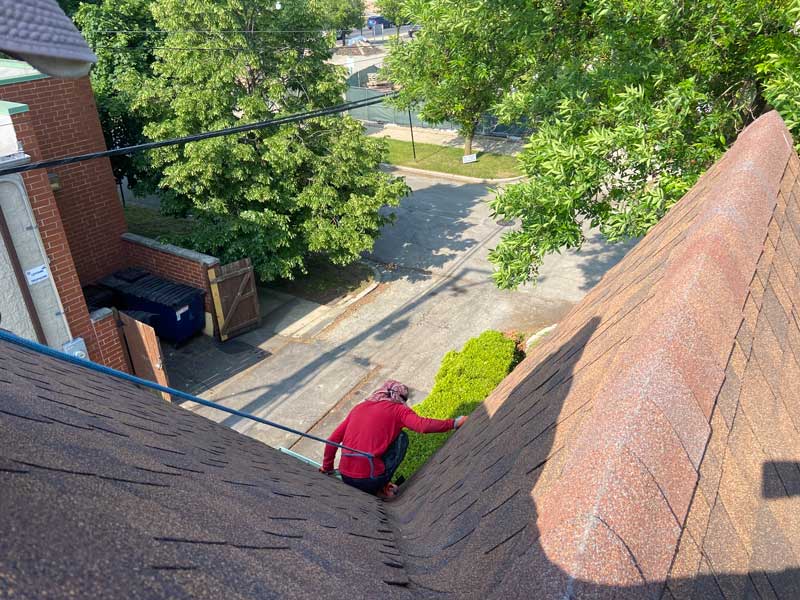 Gutter Cleaning