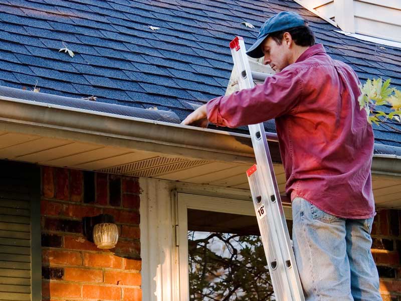 Gutter Cleaning
